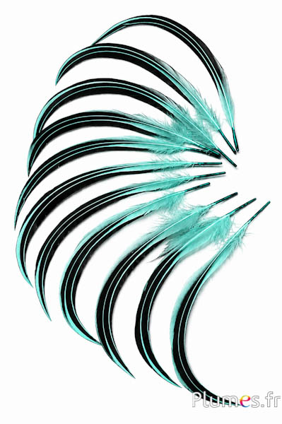 Anatra Mandarin - 15-20 cm -  verde mare